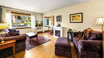 Smart TV, fireplace, books, video library