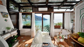 Télévision, lecteur de DVD, livres, chaßne hi-fi