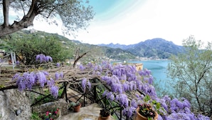 Un espacio exterior pintoresco con escalones que conducen a una terraza, rodeado de flores de glicinia moradas y vistas a un lago y montañas.