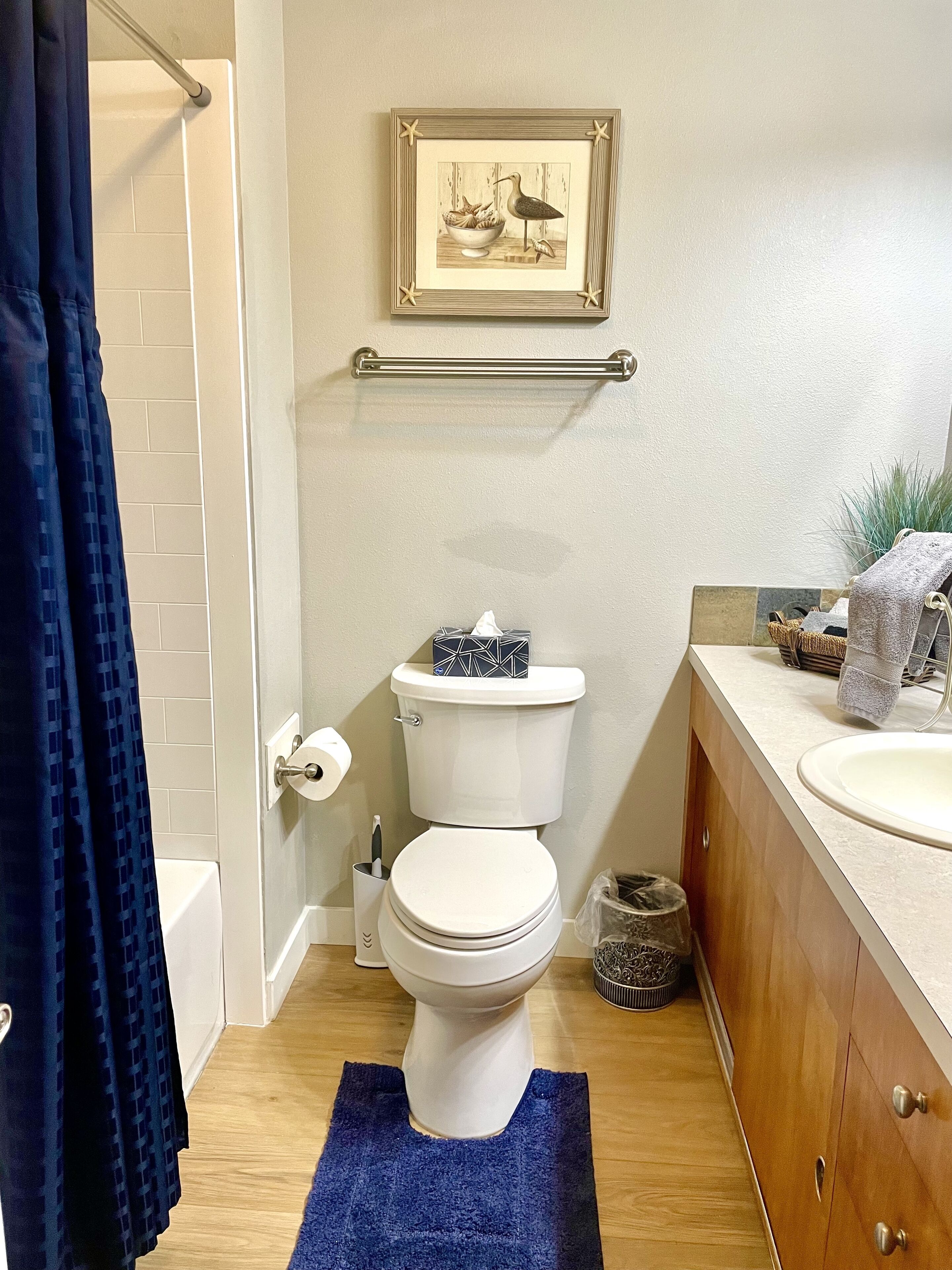 A bathroom with a toilet, sink, towel rack, and a framed picture on the wall.