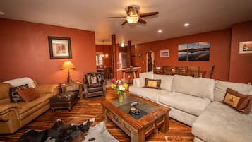 Smart TV, fireplace, DVD player, books