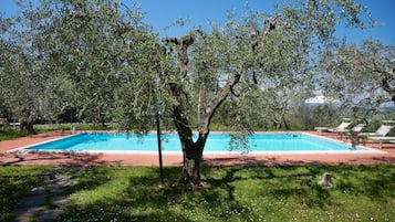 Alberca