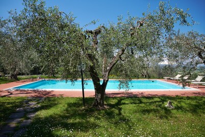 Villa between Florence  Siena and Pisa. 1 km to village.  A/C in all rooms-Wi Fi
