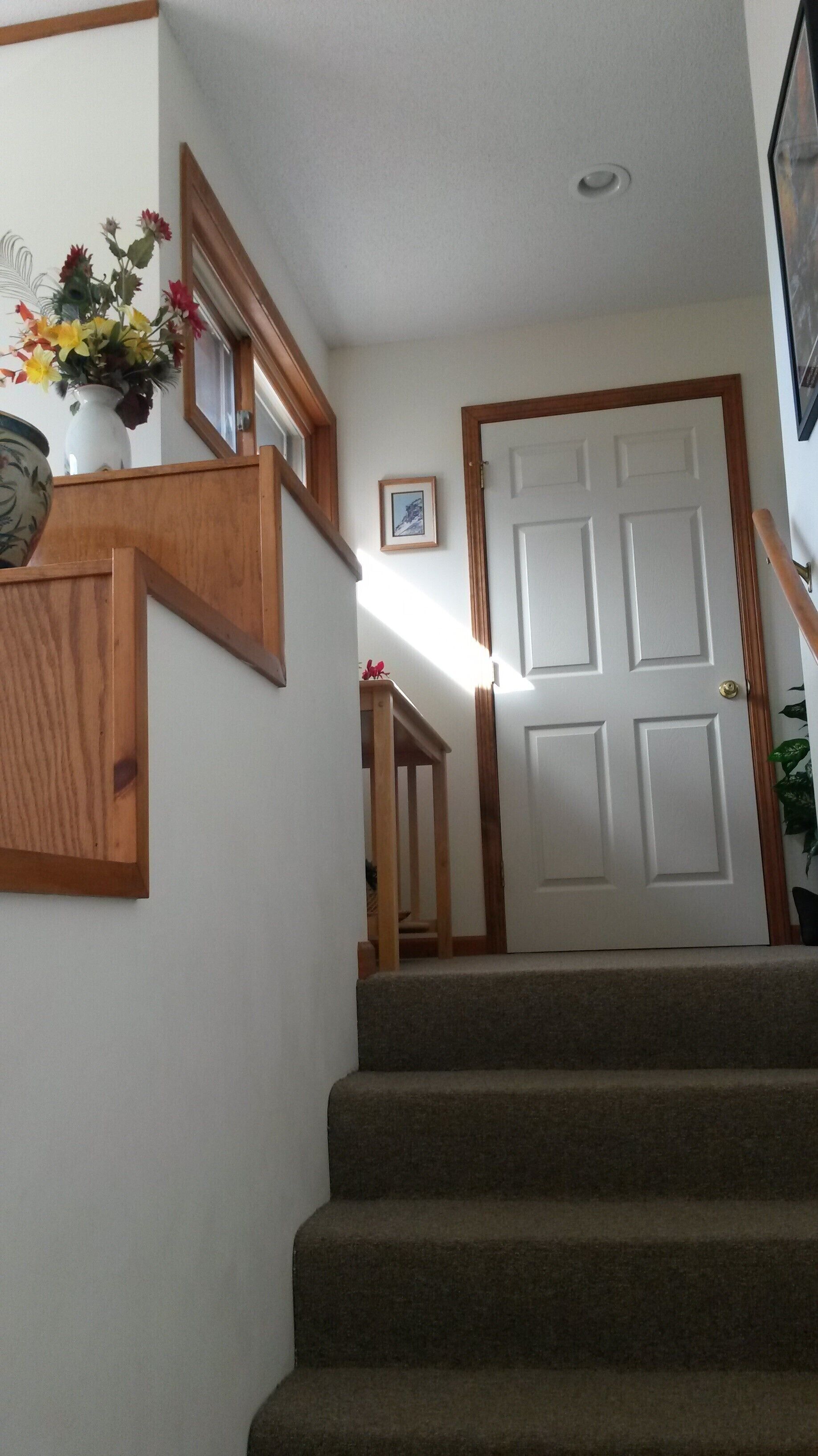 A carpeted staircase with wooden handrails, a white door, and a framed picture on the wall.
