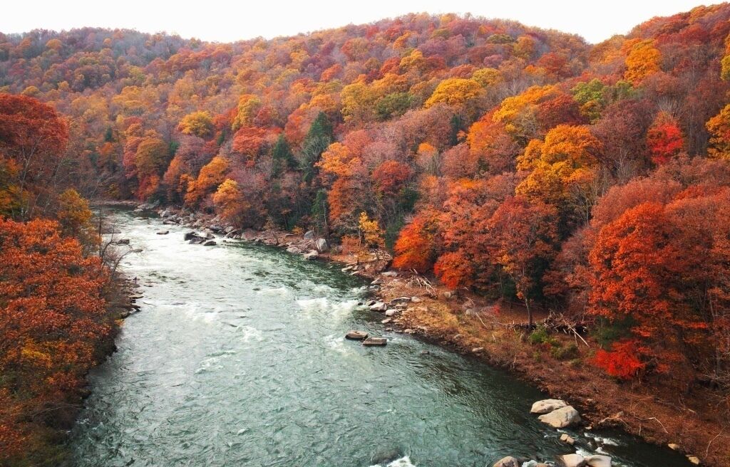 A river flowing through a forest with autumn foliage.