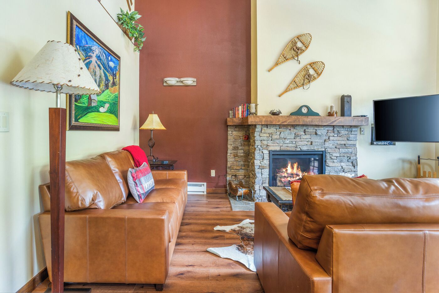 TV, fireplace