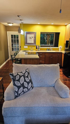 TV, fireplace, ping pong