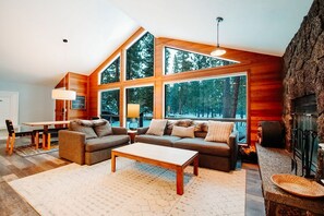 Smart TV, fireplace, video library