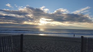 On the beach