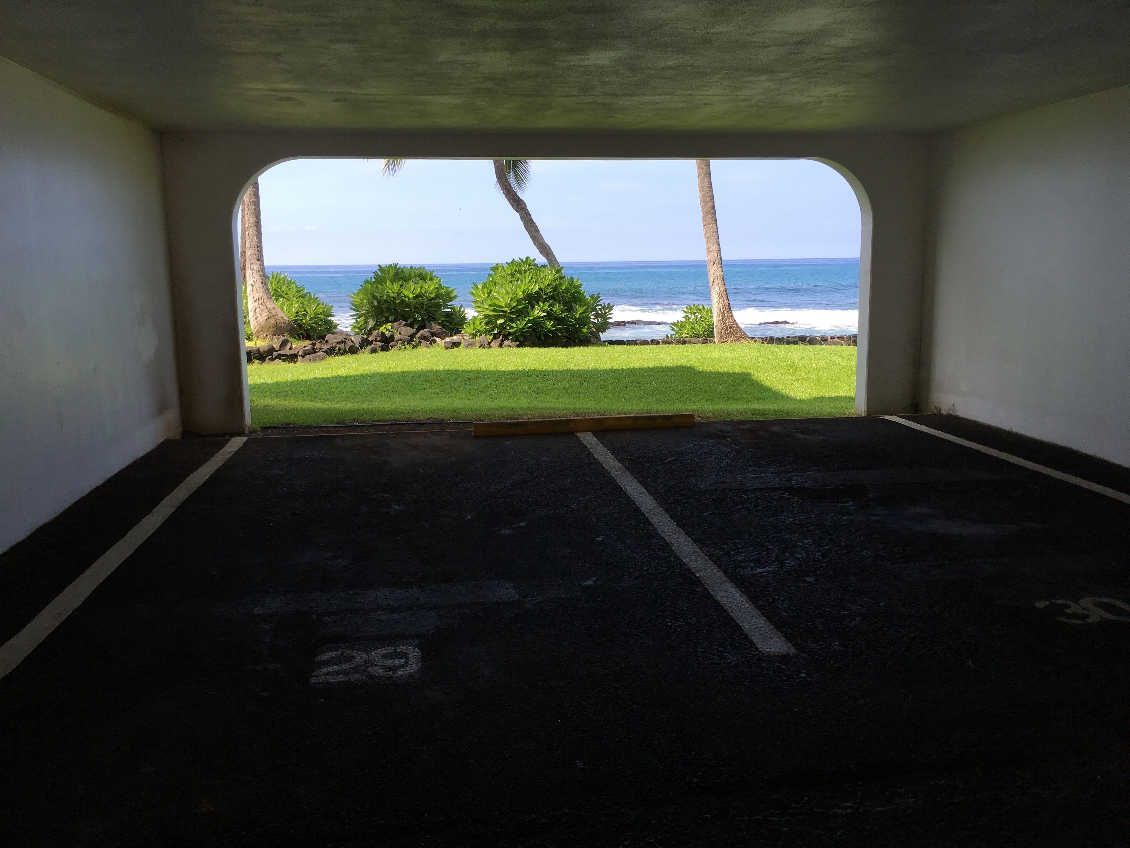 Ein Parkplatz mit Blick auf den Ozean und Palmen.