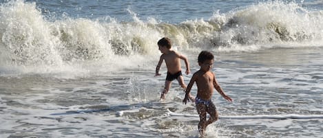 Plage, chaises longues