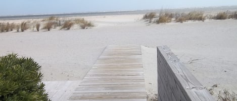 En la playa y camastros