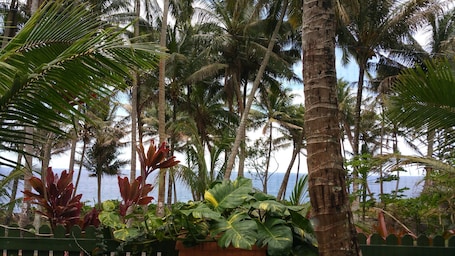 Property grounds. Whale House w/ AC @ Kehena Beach, Hawaii (Oceanfront)