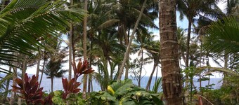 Whale House w/ AC @ Kehena Beach, Hawaii (Oceanfront)