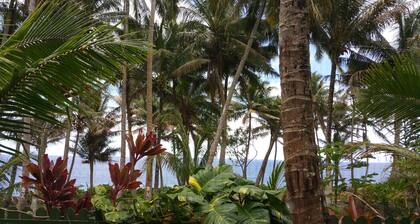Whale House w/ AC @ Kehena Beach, Hawaii (Oceanfront)