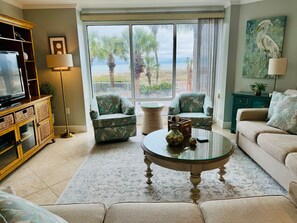 TV, DVD player, books, video library