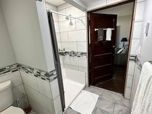 A bathroom with a shower, toilet, and a bathtub.
