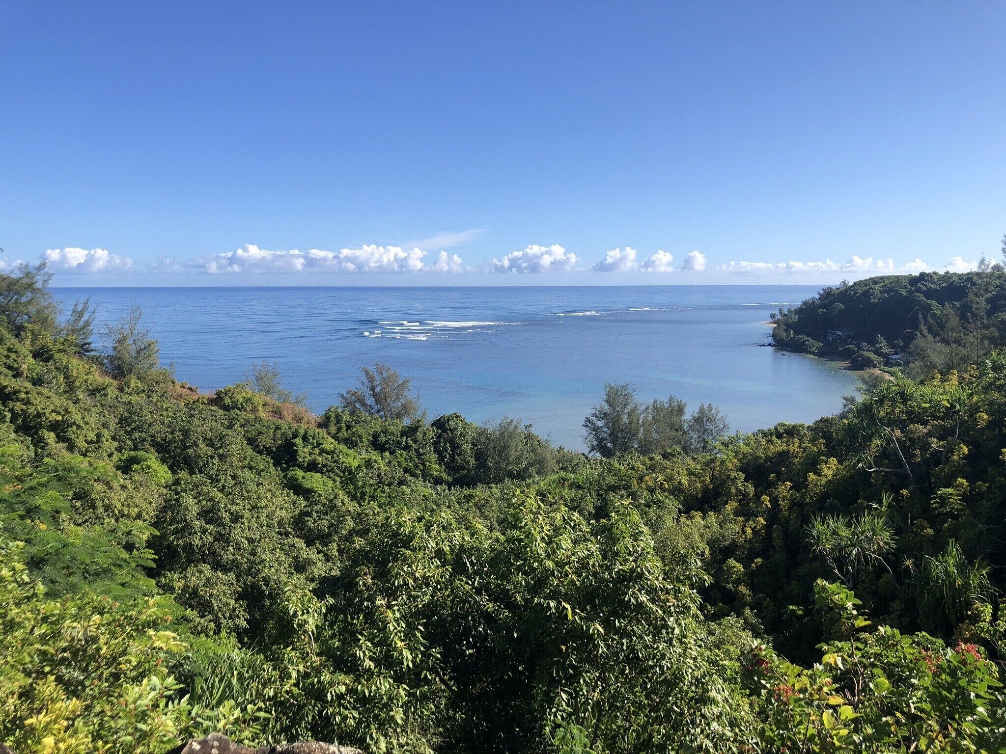 A coastal landscape with dense greenery and a view of the sea.
