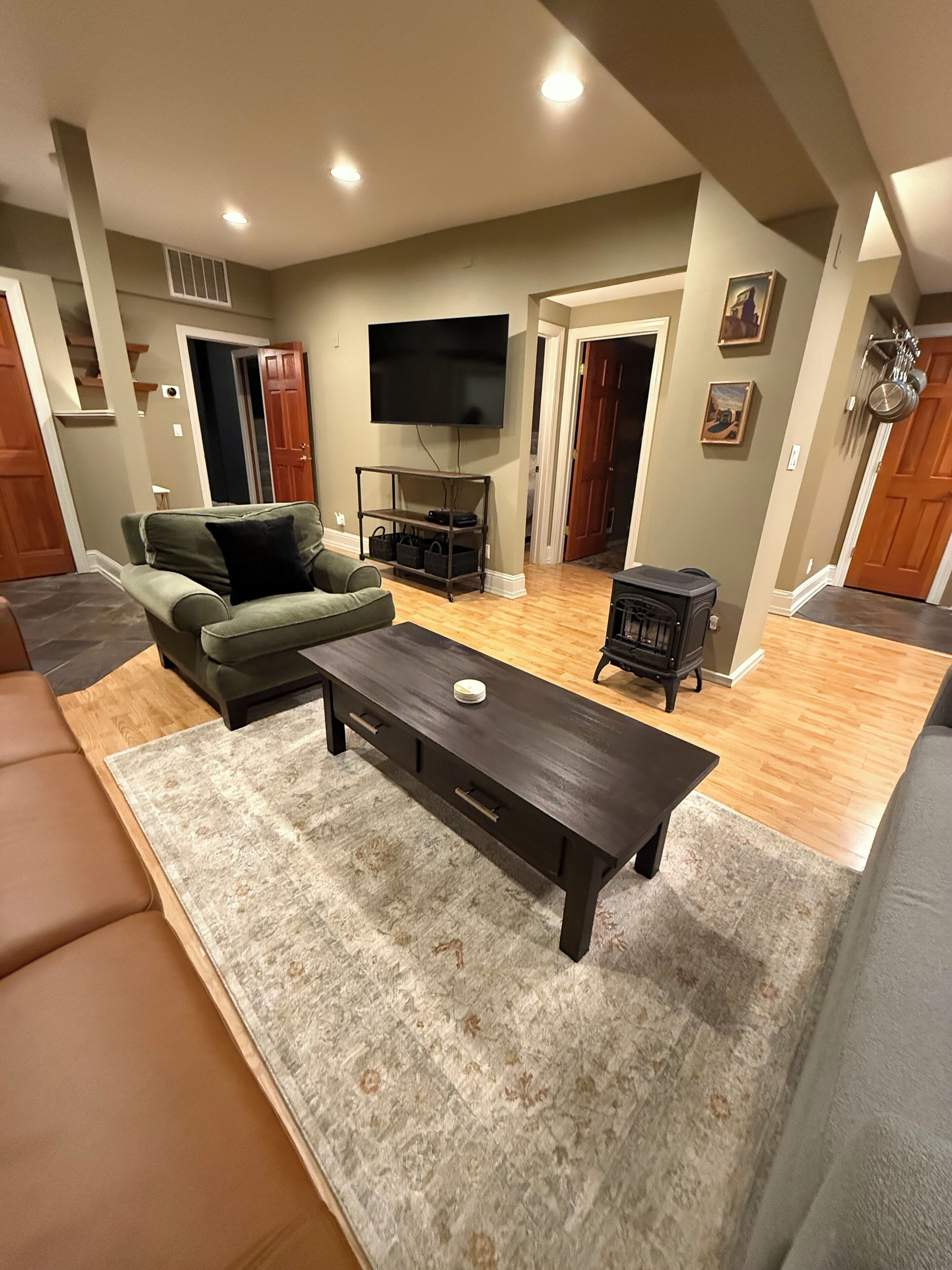 TV connectée, cheminée, lecteur de DVD, livres