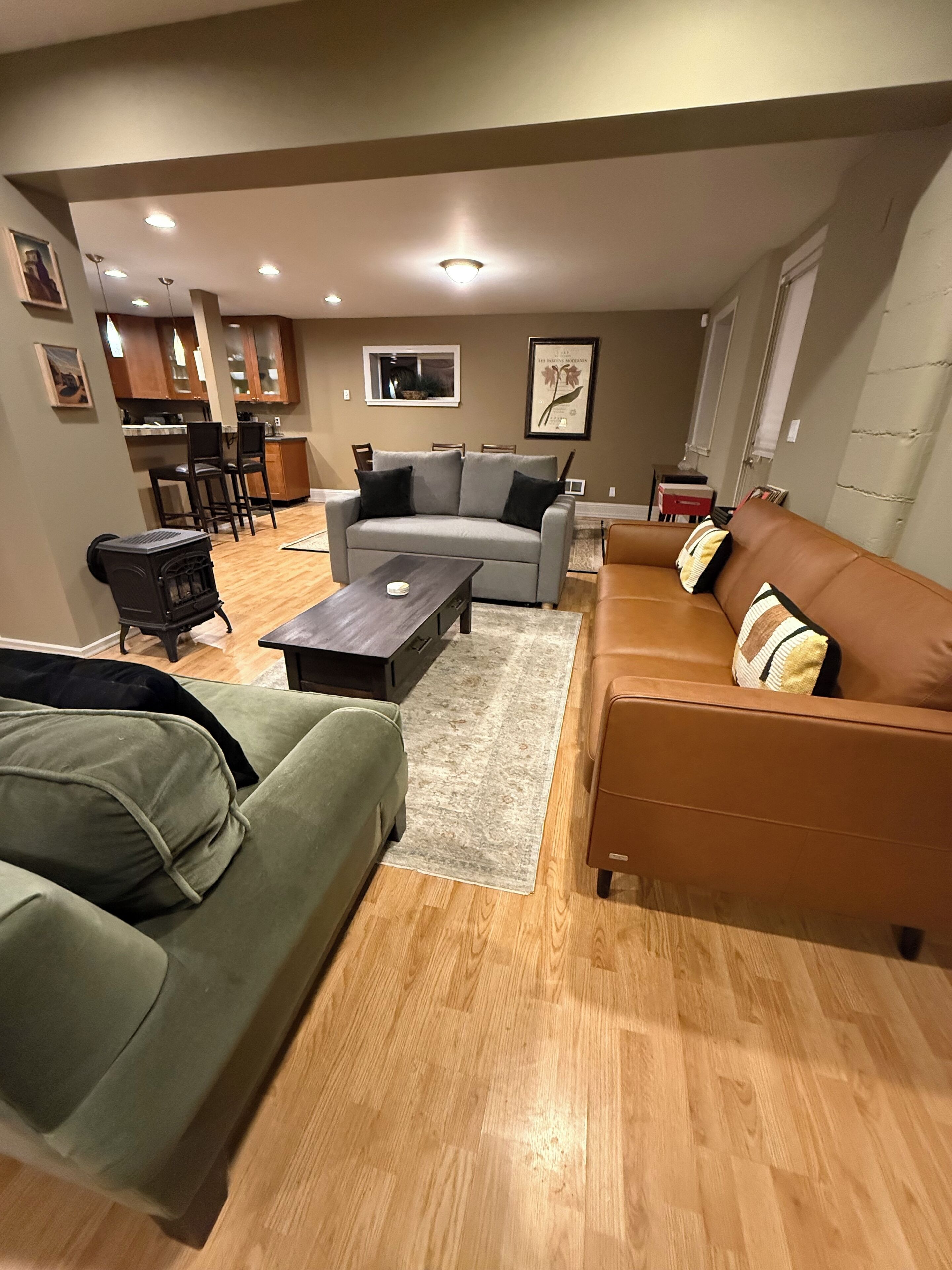 TV connectée, cheminée, lecteur de DVD, livres