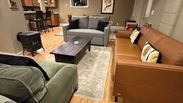 TV connectée, cheminée, lecteur de DVD, livres