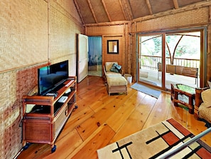 Smart TV, DVD player, books, stereo