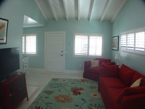 智能电视、DVD 播放器