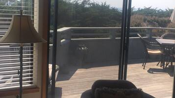 Smart TV, fireplace, DVD player, books