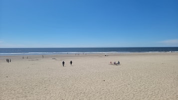 On the beach, sun loungers, beach towels