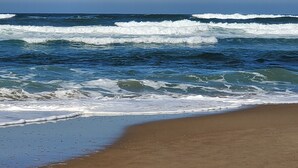 Una playa con olas rompiendo sobre la orilla.