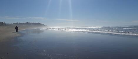 Ein Strand mit einer Person, die am Sand entlanggeht, Wellen, die an das Ufer brechen, und einem klaren Himmel.