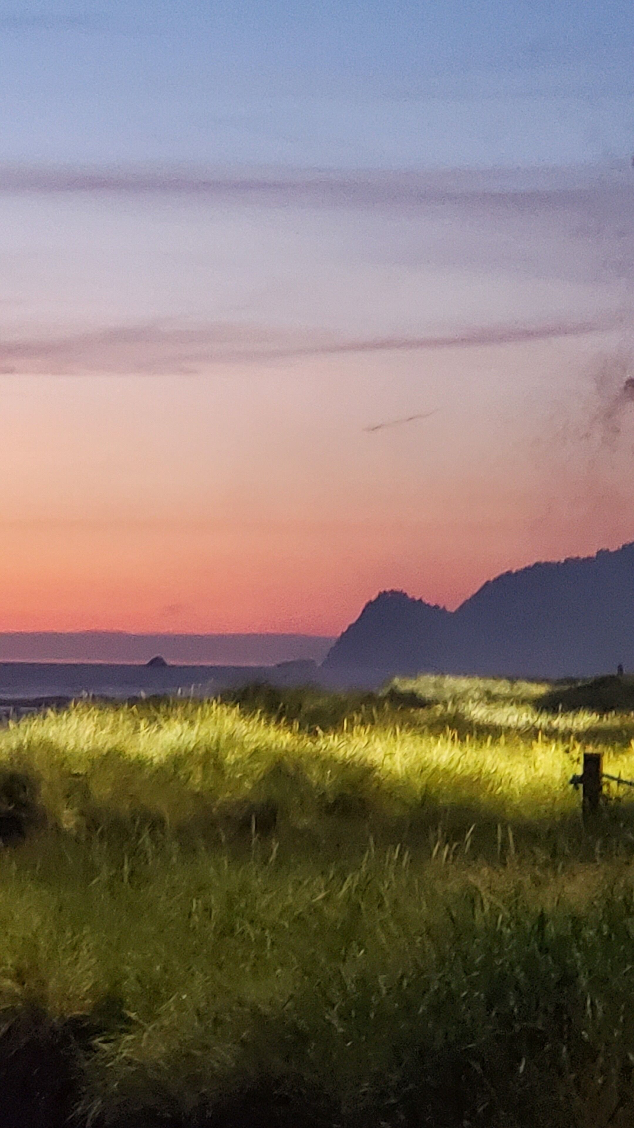 Solnedgang over en græsmark med bjerge i baggrunden.
