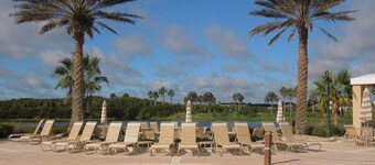 Luxury, Value, Views And Dolphins #234