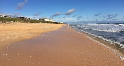 Ylellisyys, arvo ja näkymät (ja delfiinit) # 234