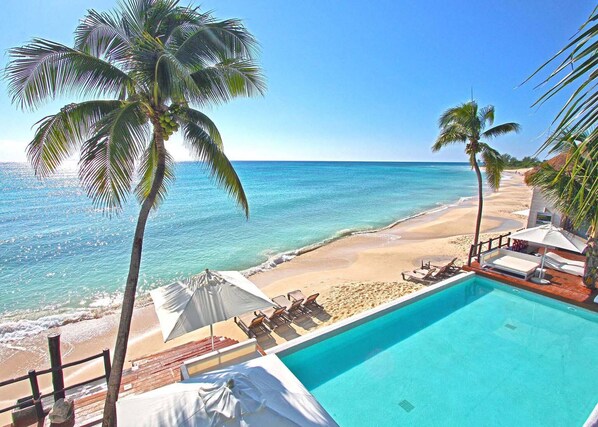 A pool with a view of the beach and ocean, palm trees, and sun loungers.