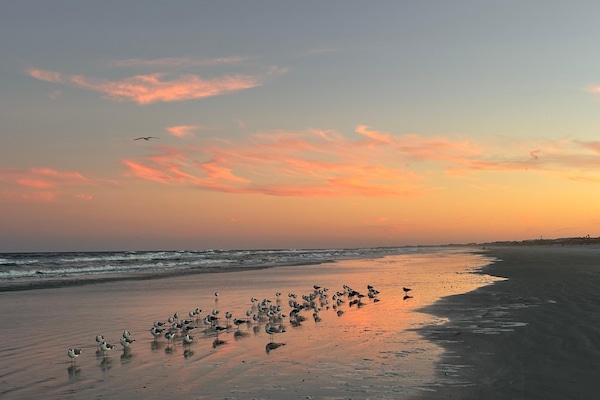 In Strandnähe, Strandtücher