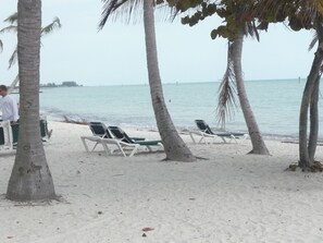 Una playa con palmeras, sillas de descanso y un mar tranquilo.