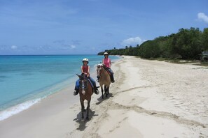 Una playa cerca