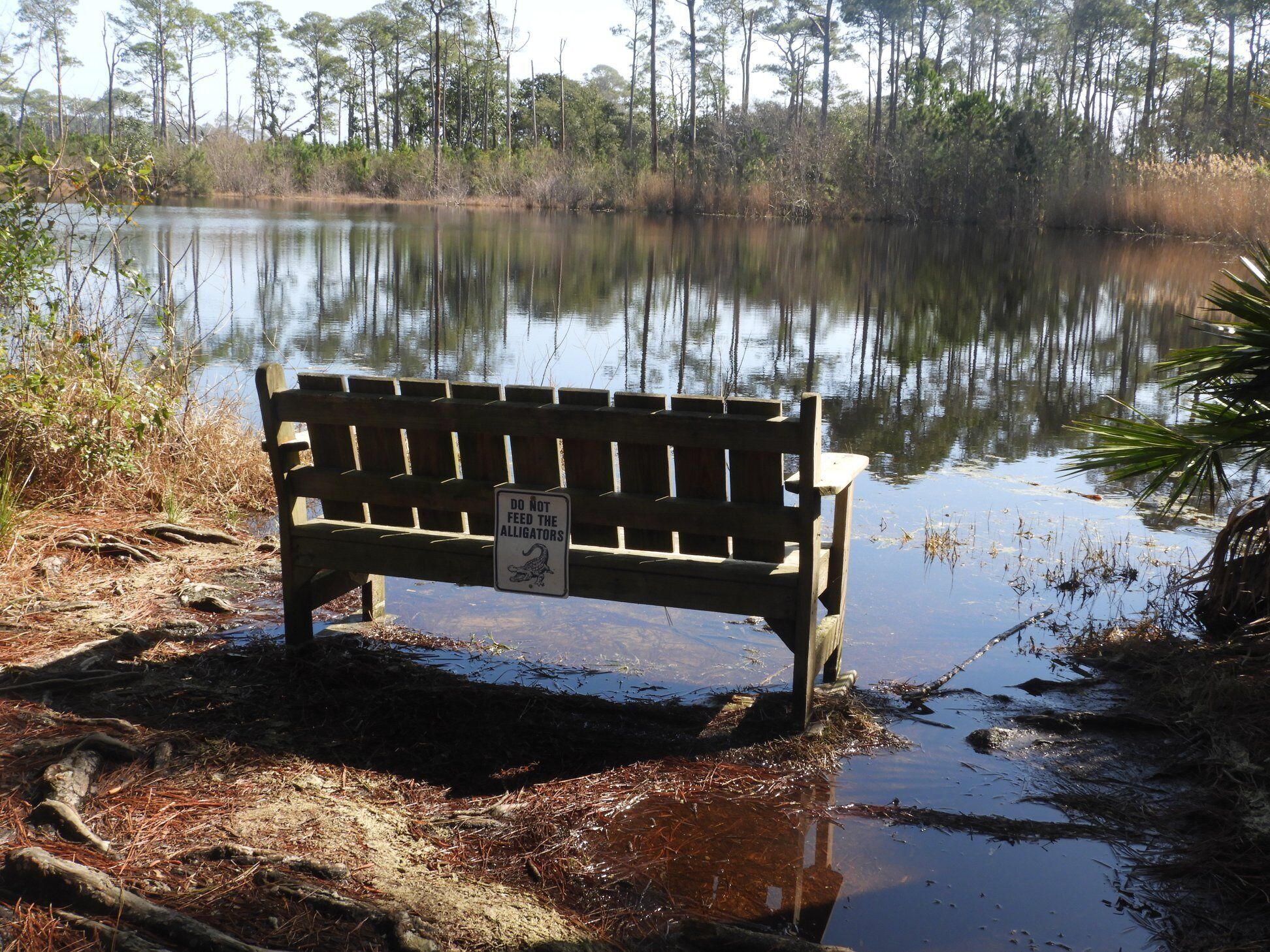 A wooden bench with a warning sign in a natural setting near a body of water.
