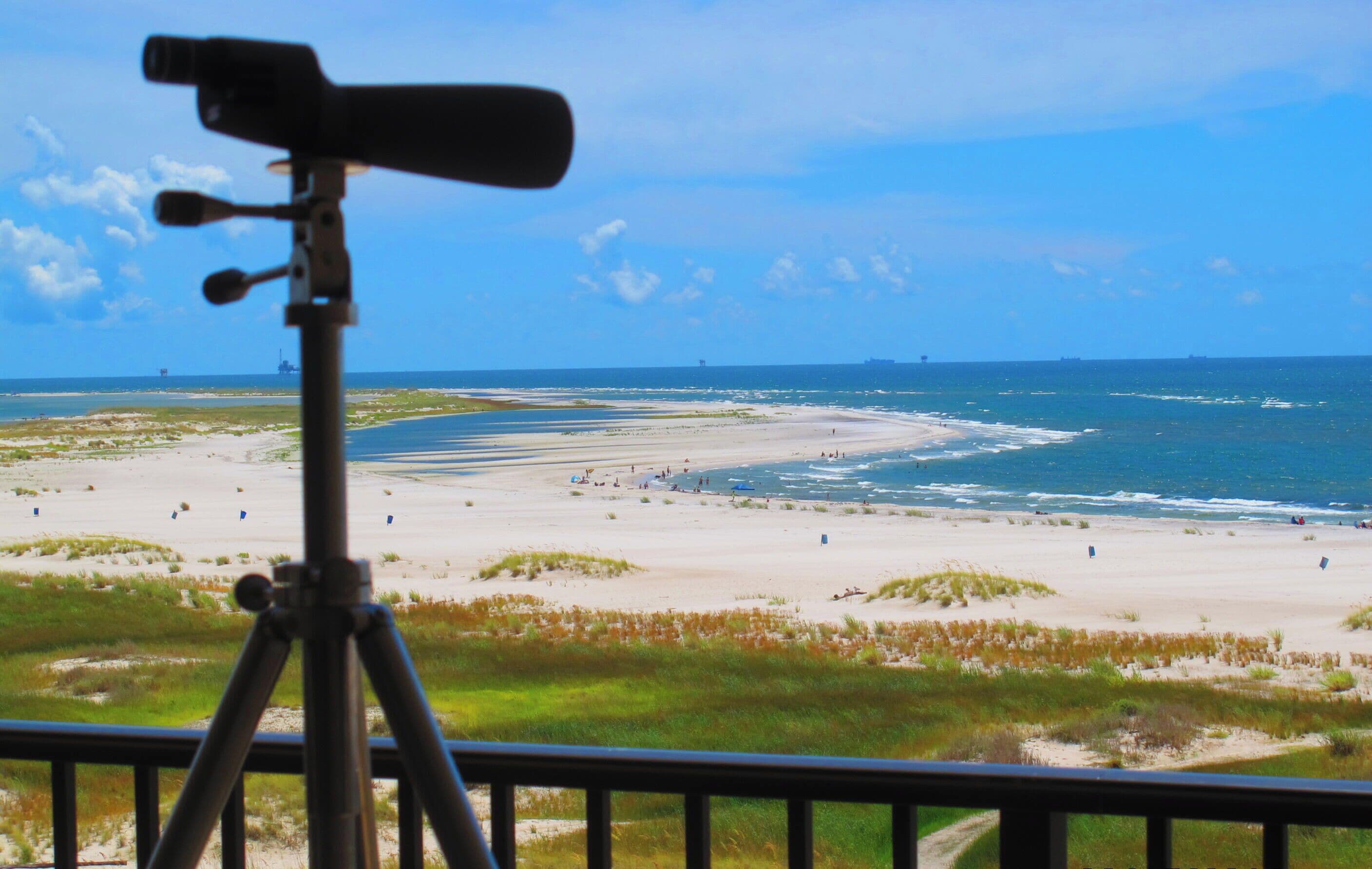 Plage, chaises longues