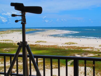 Beachfront, indoor/outdoor pools. Best view on Gulf Coast! NO FEES OF ANY TYPE.