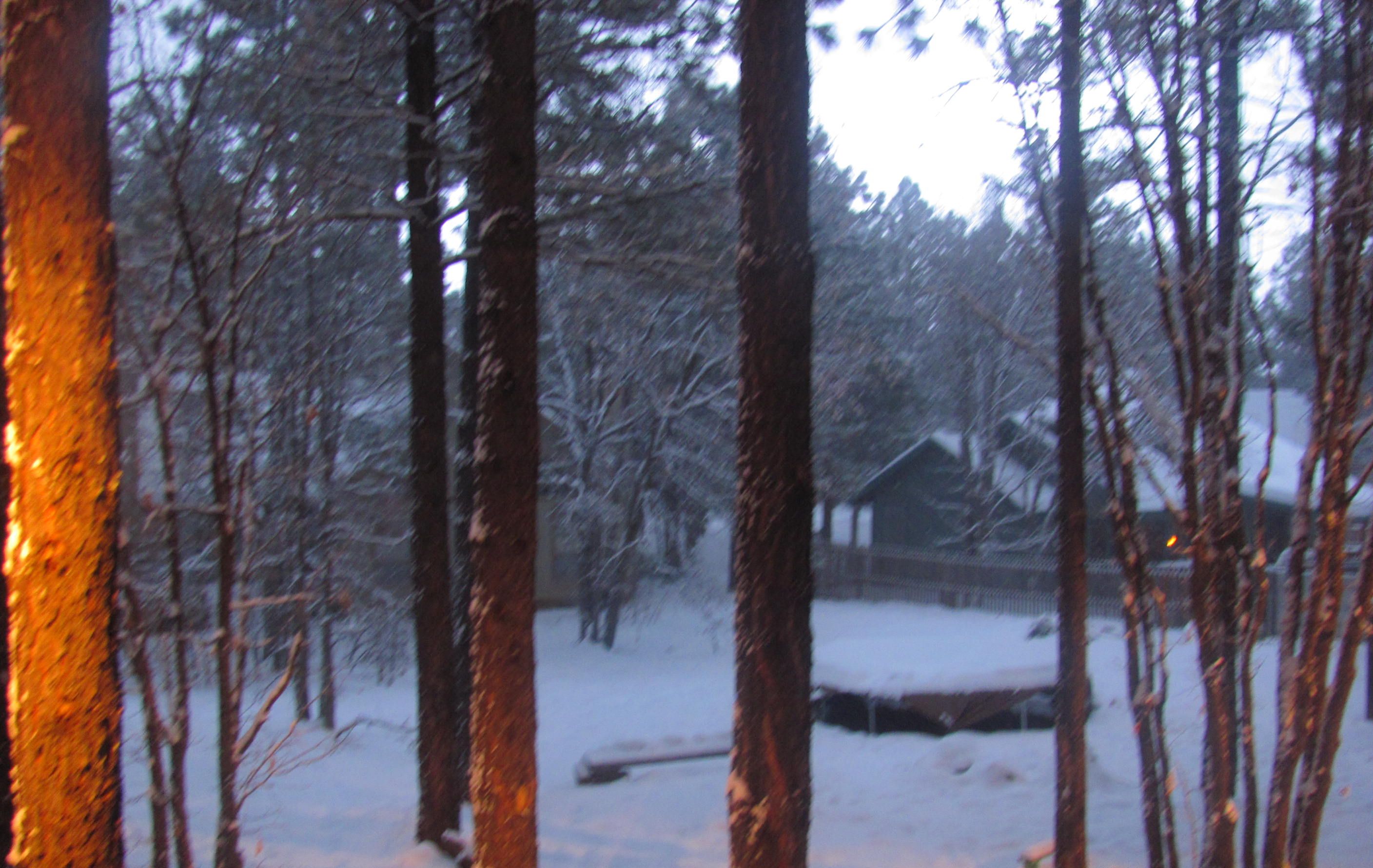 A snowy forest scene with a cabin in the background.