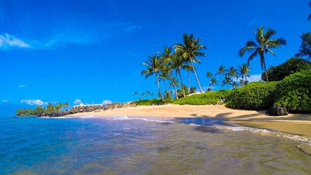 Ein Strand mit klarem, blauem Wasser, Palmen und einem sandigen Ufer.