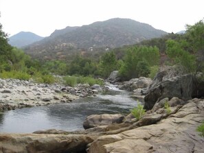 Unclassified image, 3 of 24, button