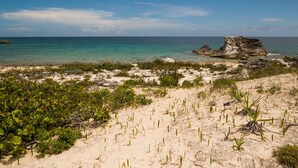 A beach with clear turquoise water, sandy dunes, and sparse vegetation.