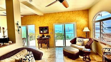Smart TV, DVD player, books, video library