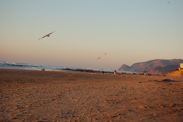 Plage, chaises longues, serviettes de plage