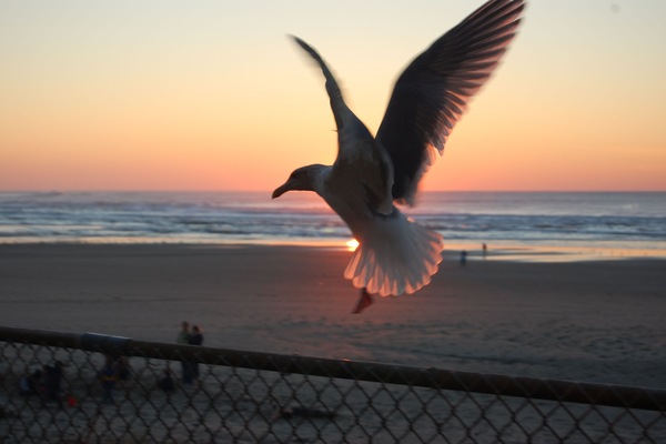 This sunset picture was taken from the front unit.