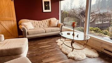 TV connectée, cheminée, lecteur de DVD, livres