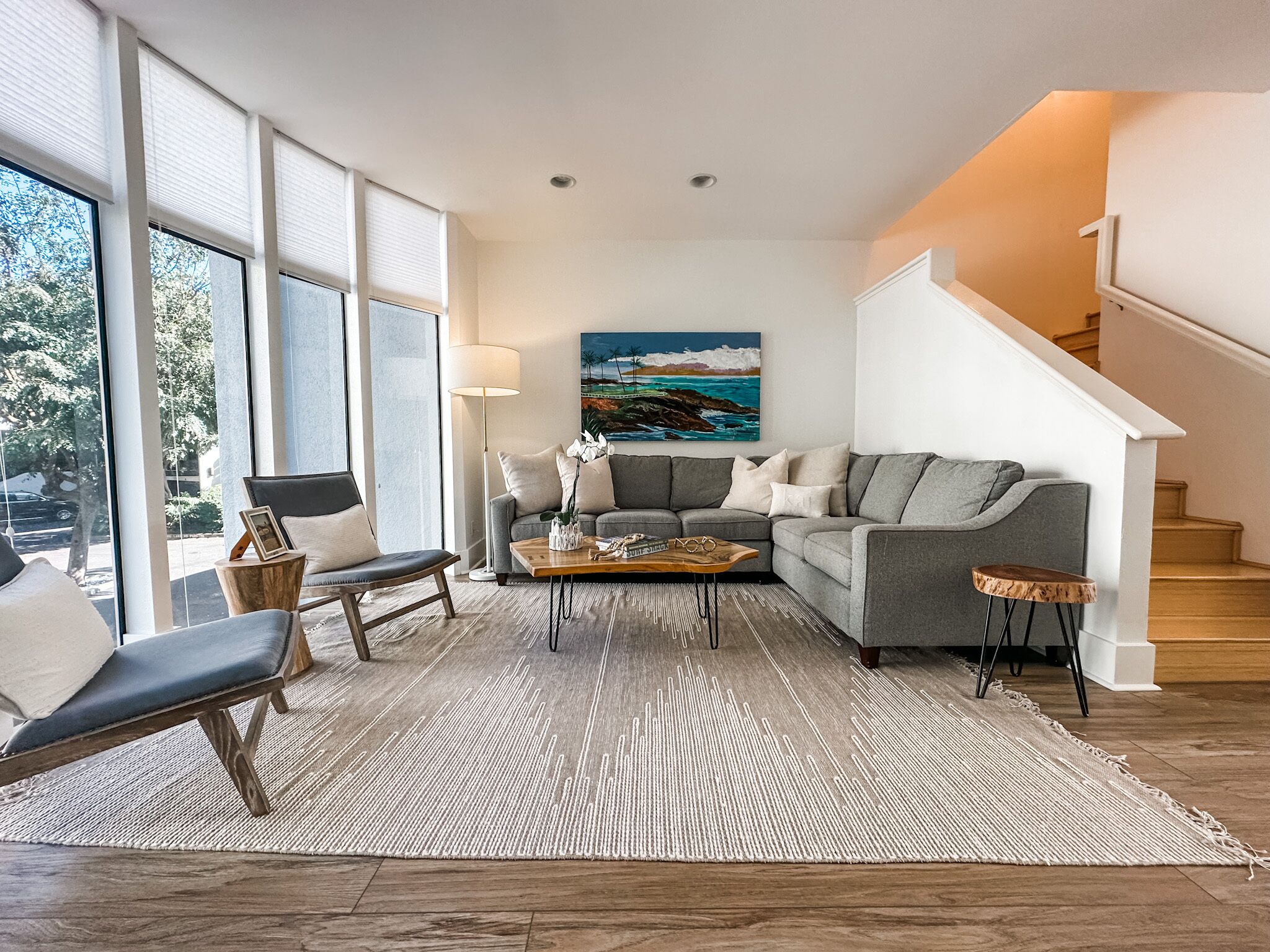 TV connectée, lecteur de DVD, livres, vidéothèque